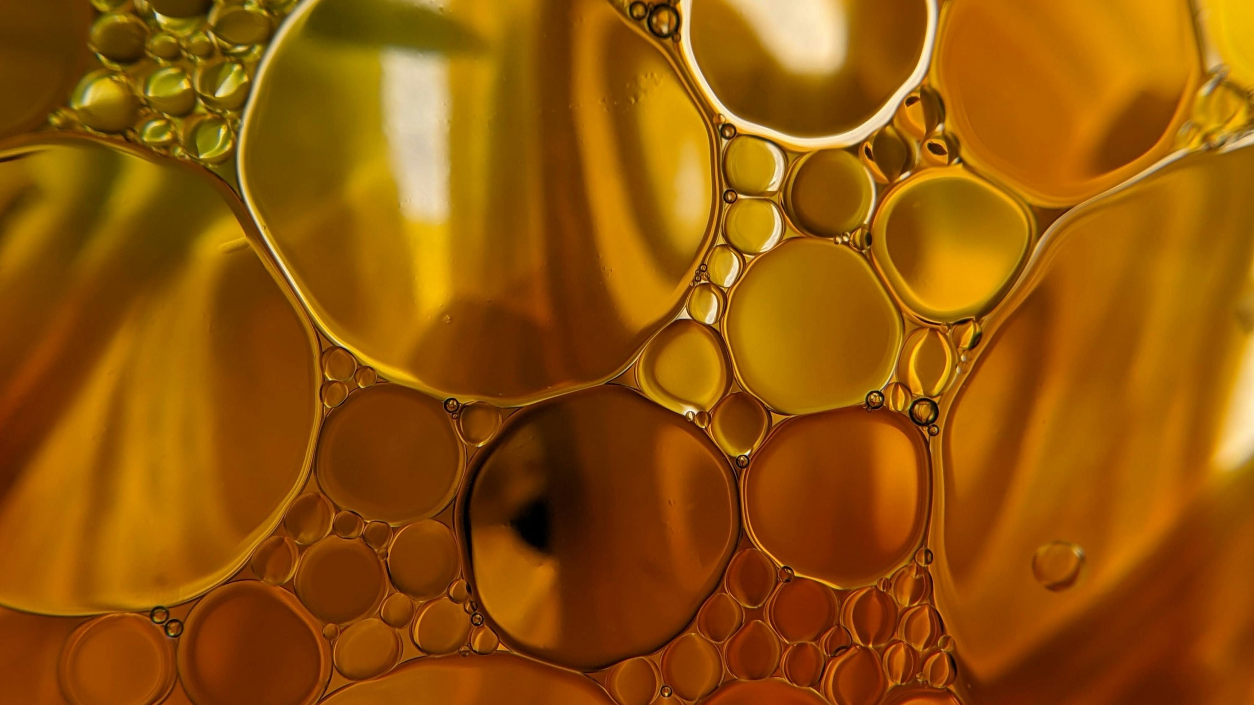 Omega 3, 6 und 9 - Worauf sollte ich bei meiner Ernährung achten? Und was sind eigentlich diese gesättigten Fettsäuren?